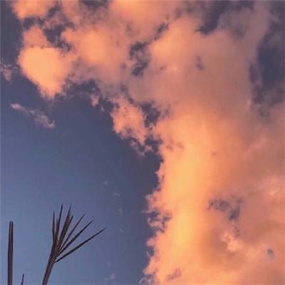 口袋觉醒手游九游版下载