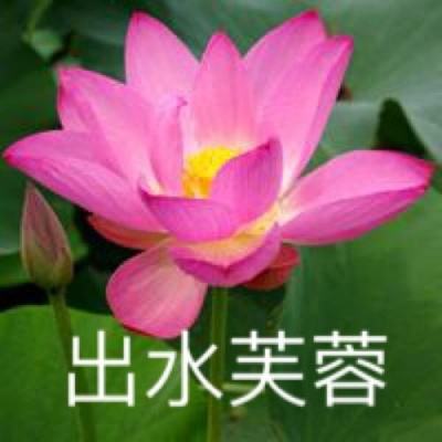 烈火之刃bt版下载